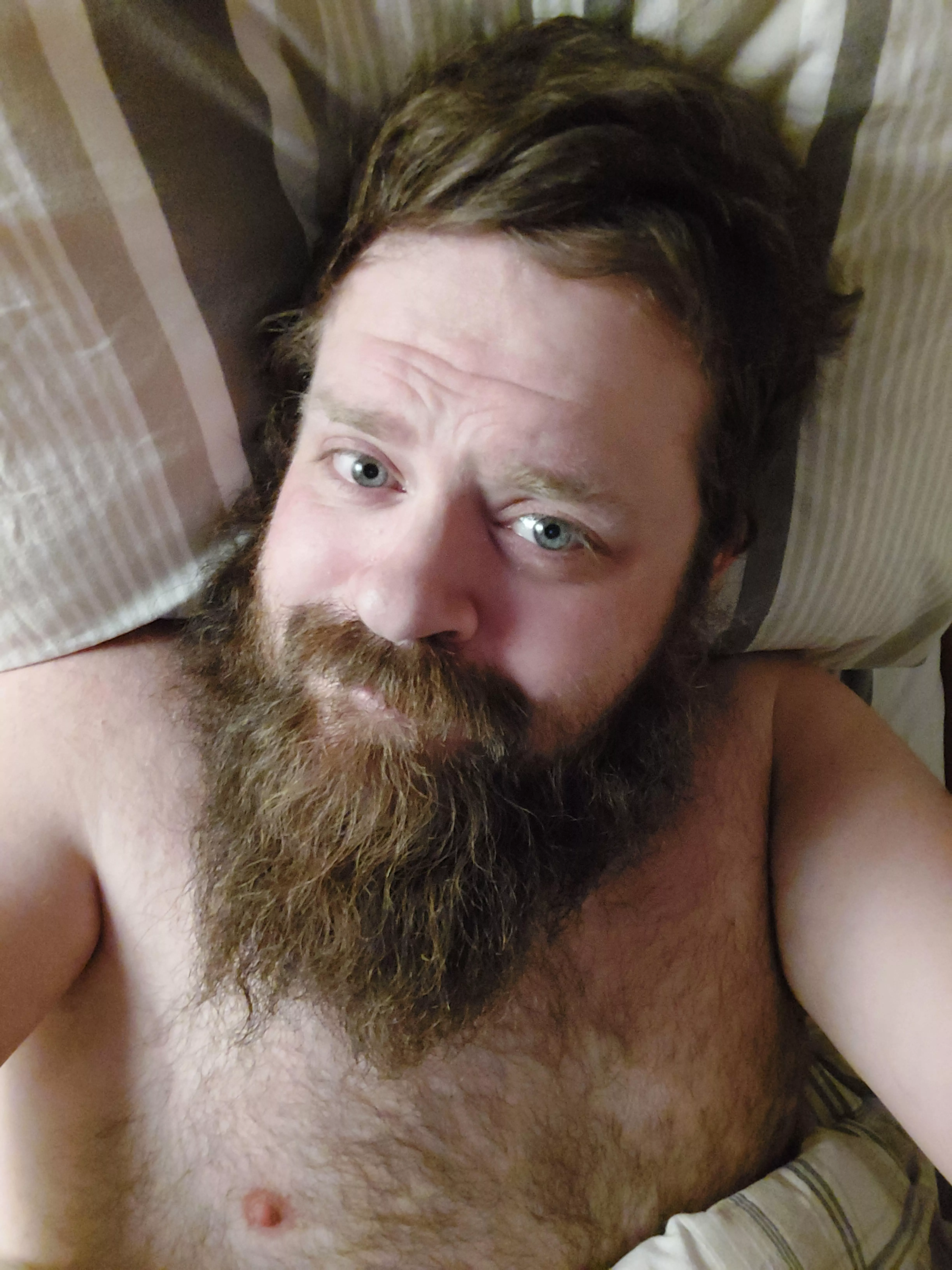 good evening! good evening!