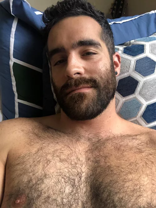 good morning! good morning!