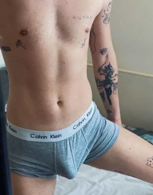 good morning everyone 🐷