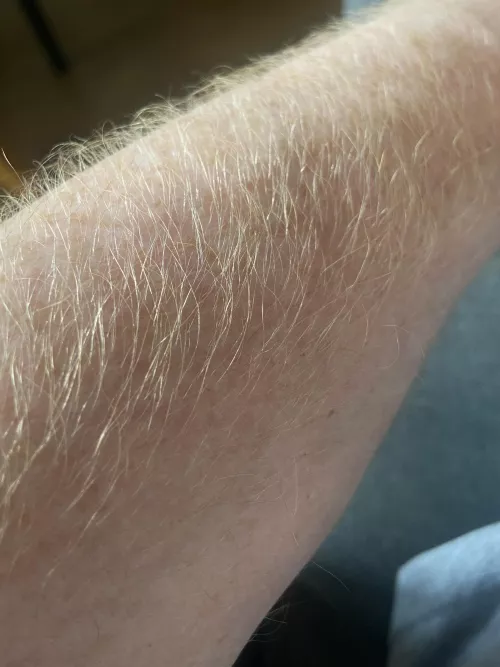 Good morning, hereโs my ginger forearm for ya.