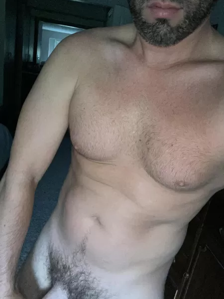 good morning good morning