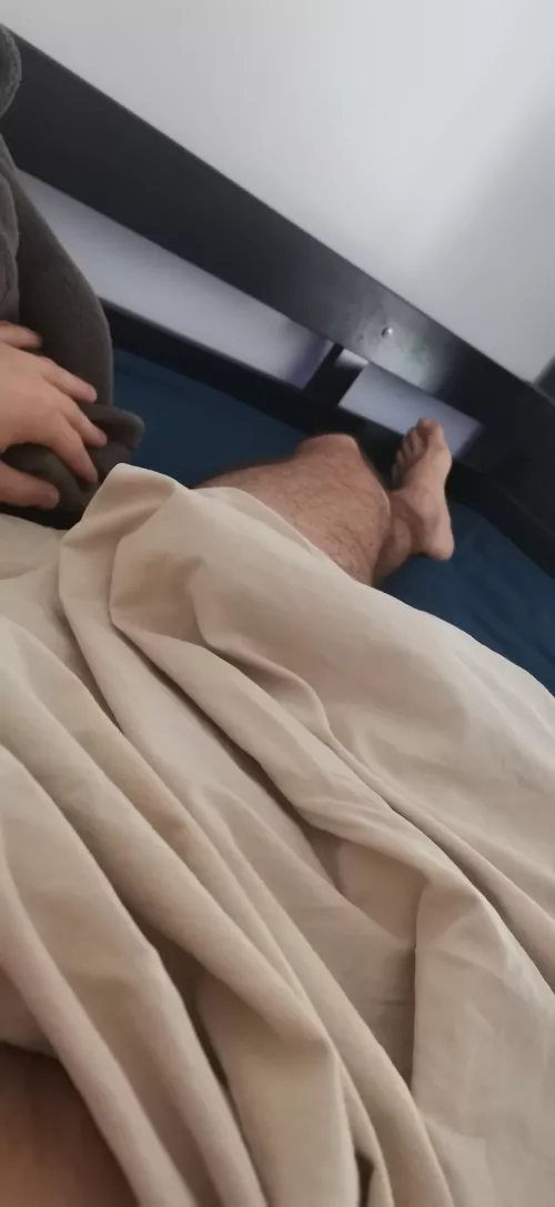 Good morning, my blanket doesn't leave much imagination Good morning, my blanket doesn't leave much imagination