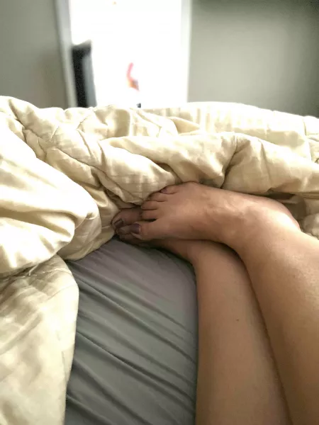 Good morning 💜 Rub, lick or tickle to start the day? Good morning 💜 Rub, lick or tickle to start the day?