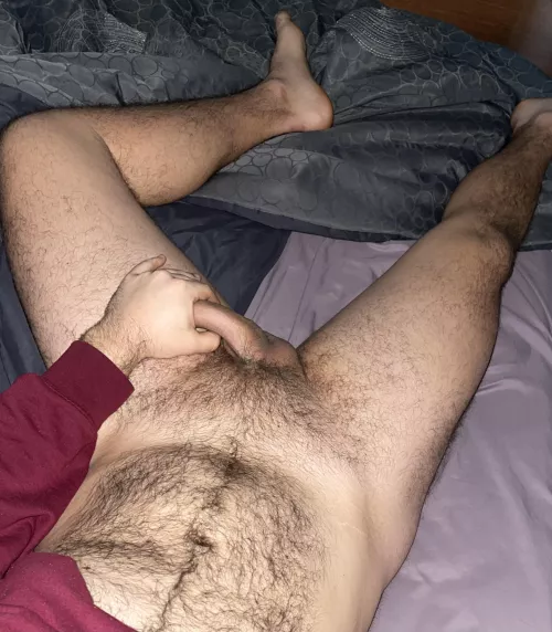good morning (wood) ššš
