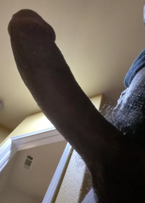 Good sissies beg to be bred.