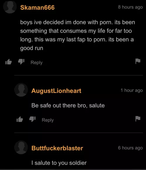 goodbye soldier