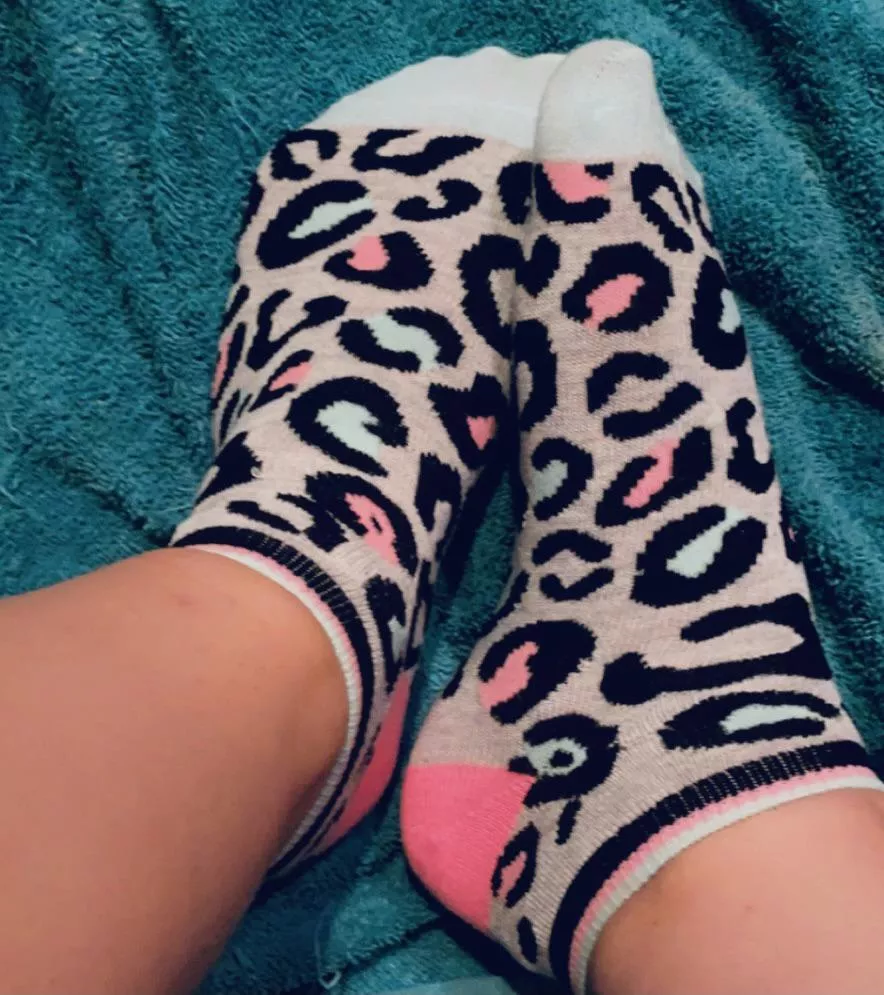 Goodnight 🌙 Goodnight 🌙