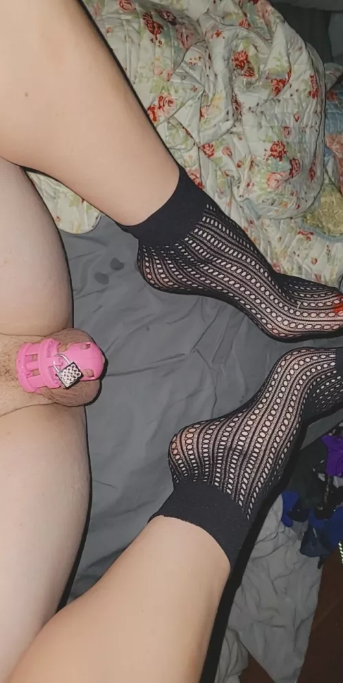 Goodnight day 18! Goodnight day 18!