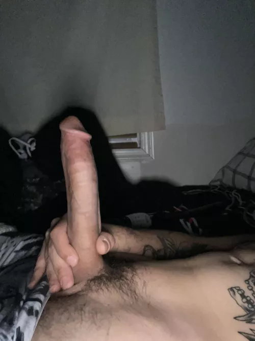 goodnight from my bwc