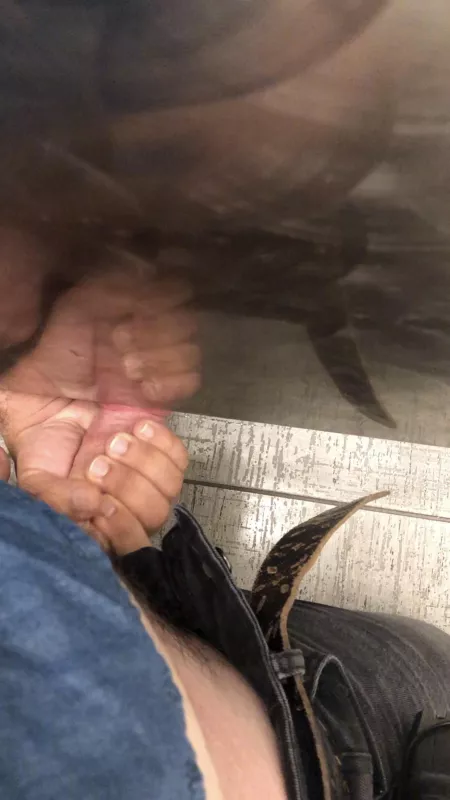 Got a handjob from under the stall while at work yesterday. This is a screenshot from the video I took Got a handjob from under the stall while at work yesterday. This is a screenshot from the video I took