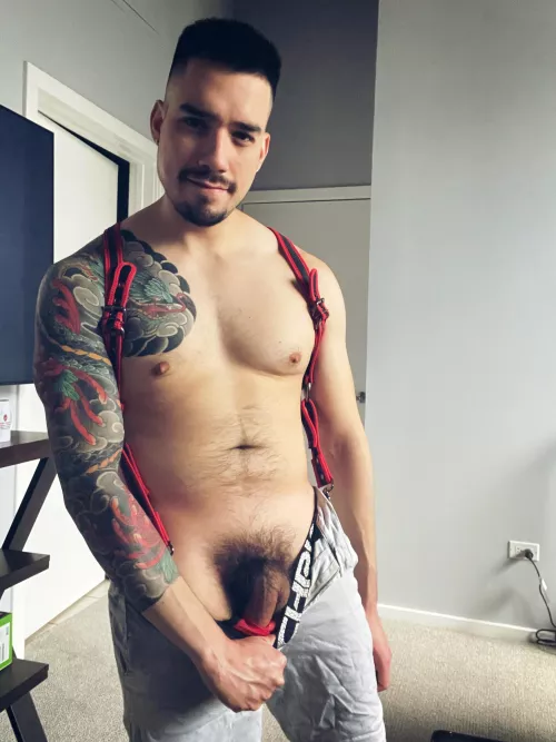 Got a new harness ๐