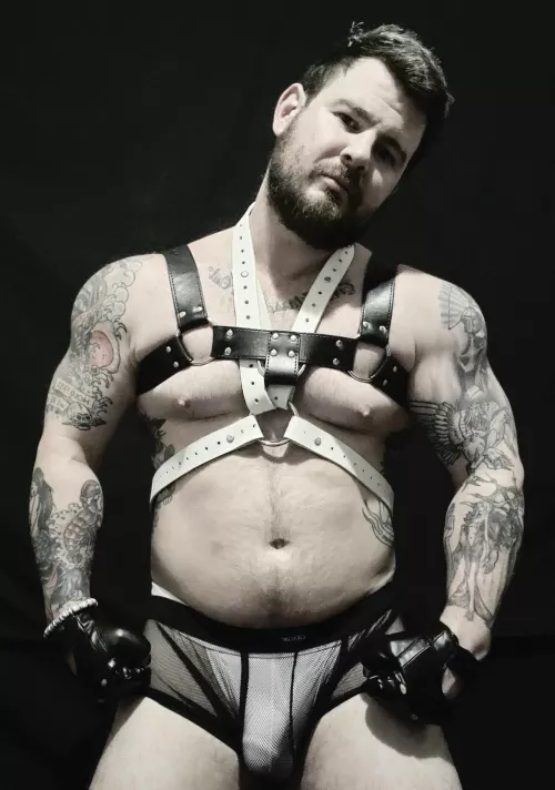 Got a new harness so I figured I'd show off a bit π what do you think?