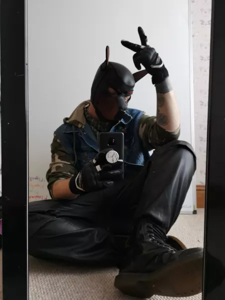 Got a new outfit for my first pup meet up tomorrow! 🐾