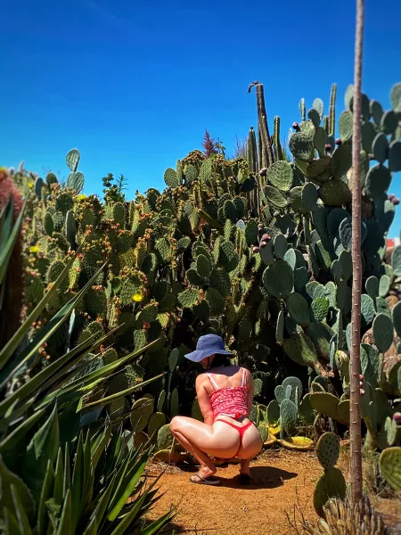 Got caught in a prickly situation ? [F]