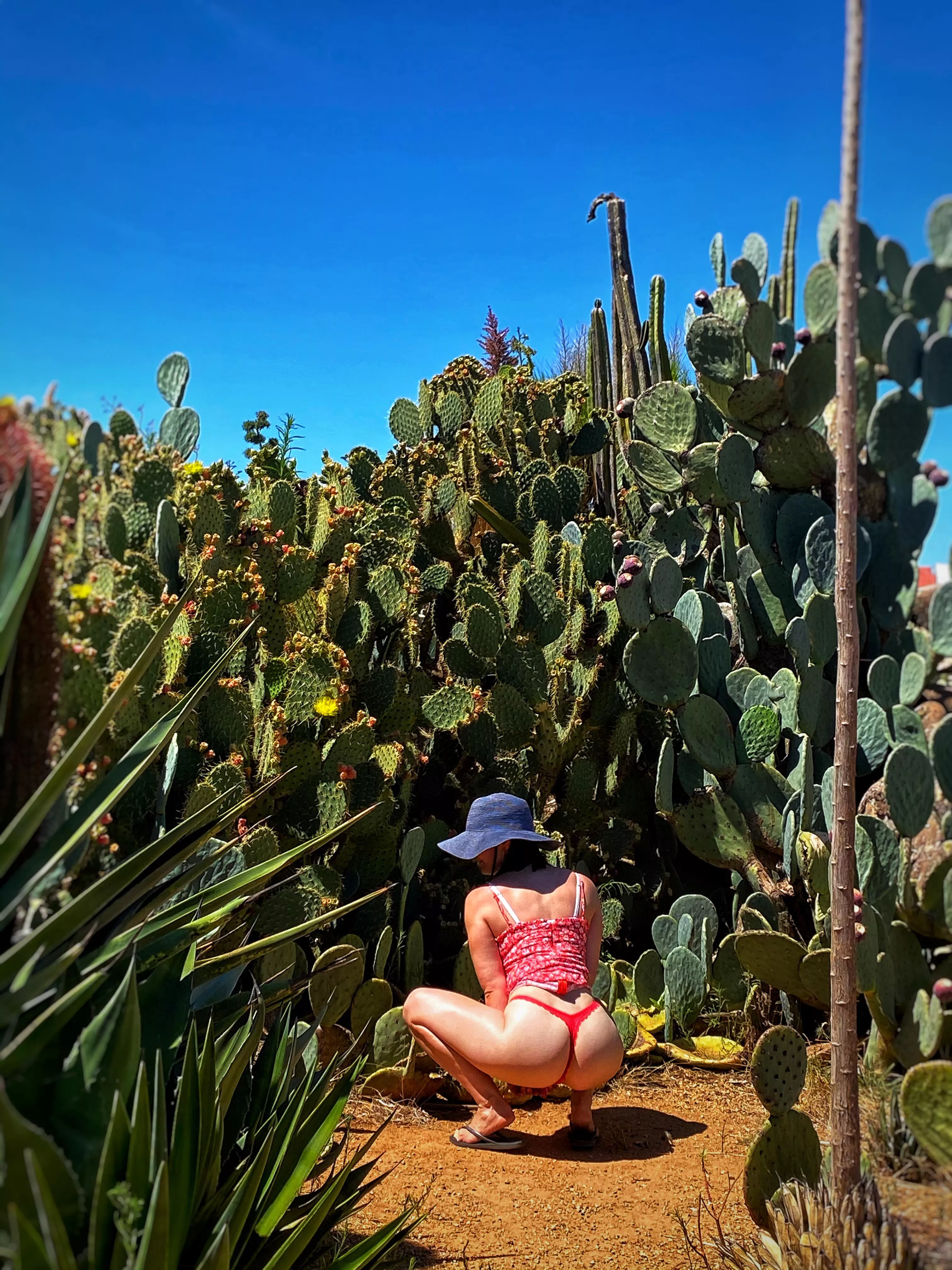 Got caught in a prickly situation ? [F]