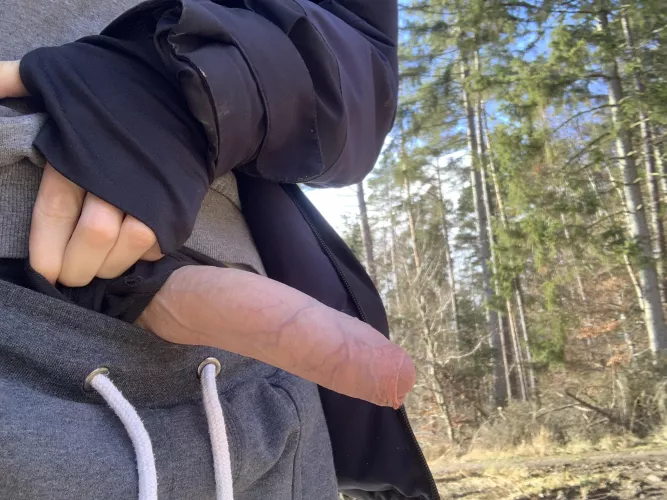 Got hard on a walk. My underwear was full of precum