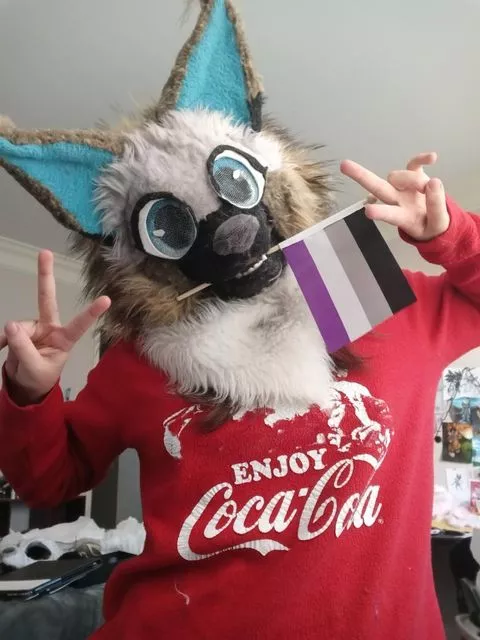 got my first pride flag today! Teared up quite a bit while opening it cause something so small can mean so much for your self love and acceptance<3