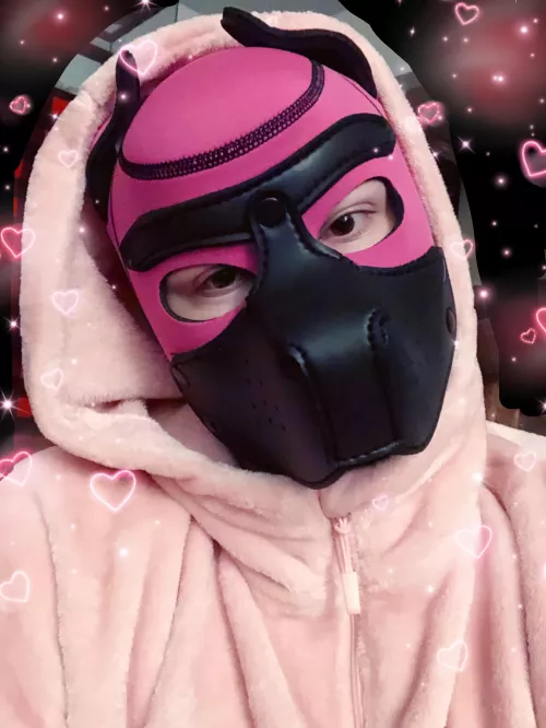 got my first pup hood today! 💖