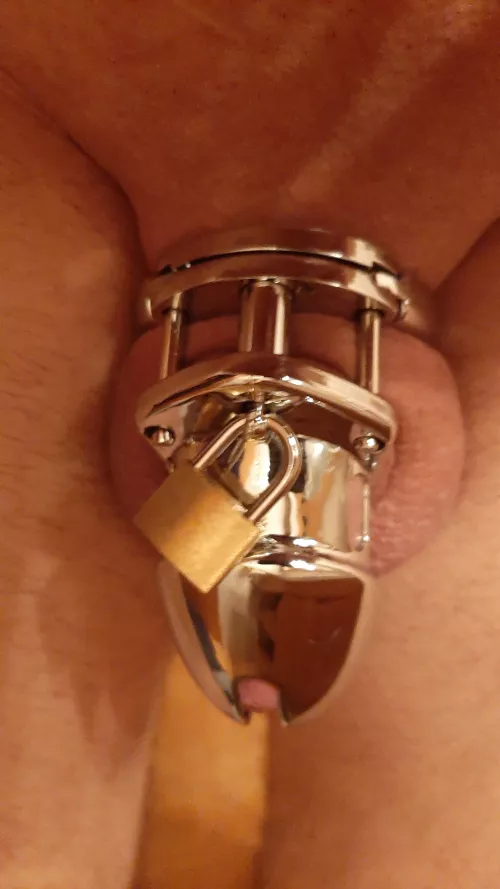 Got my new cage and it fits perfect