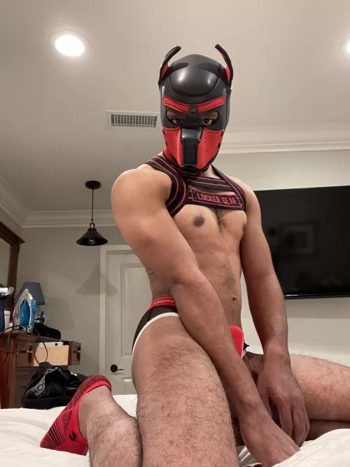 Got my Only Fans up and already getting collabs. Who wants to have fun with this pup?