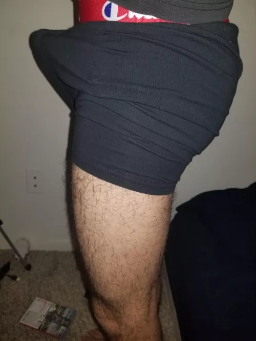 Got these new champion boxer briefs. What do yall think?