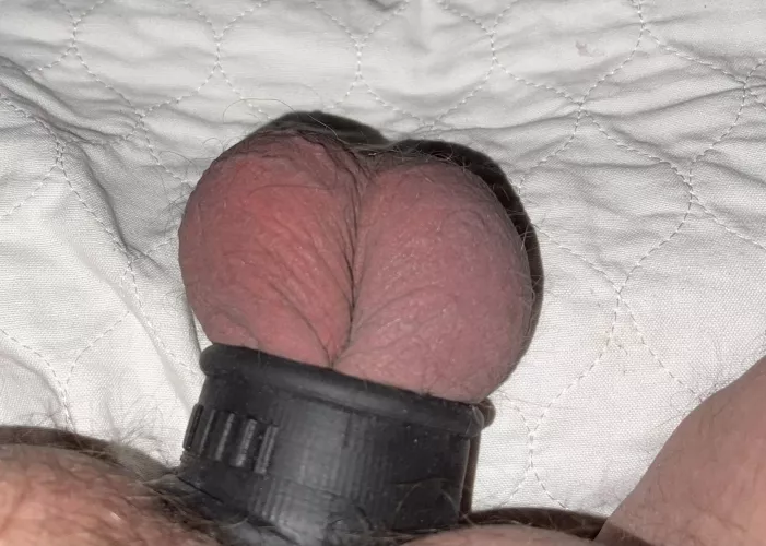 Got this Oxballs Neo Tall ball stretcher in the mail the other day. After struggling to get it on, I was finally able to get my balls in it. It feels great. Got this Oxballs Neo Tall ball stretcher in the mail the other day. After struggling to get it on, I was finally able to get my balls in it. It feels great.