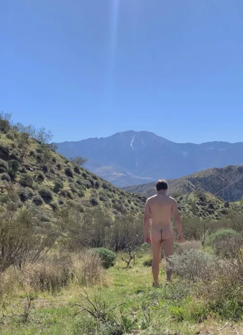 Great views