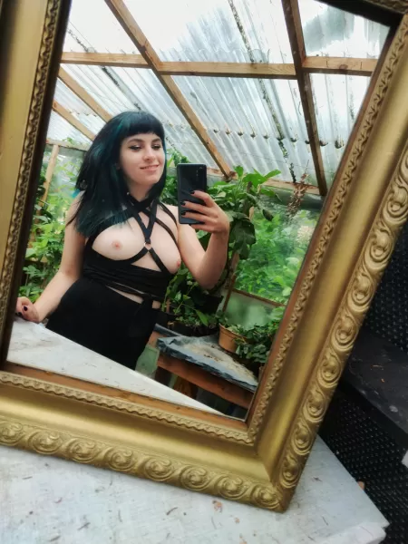 greenhouse nudes π