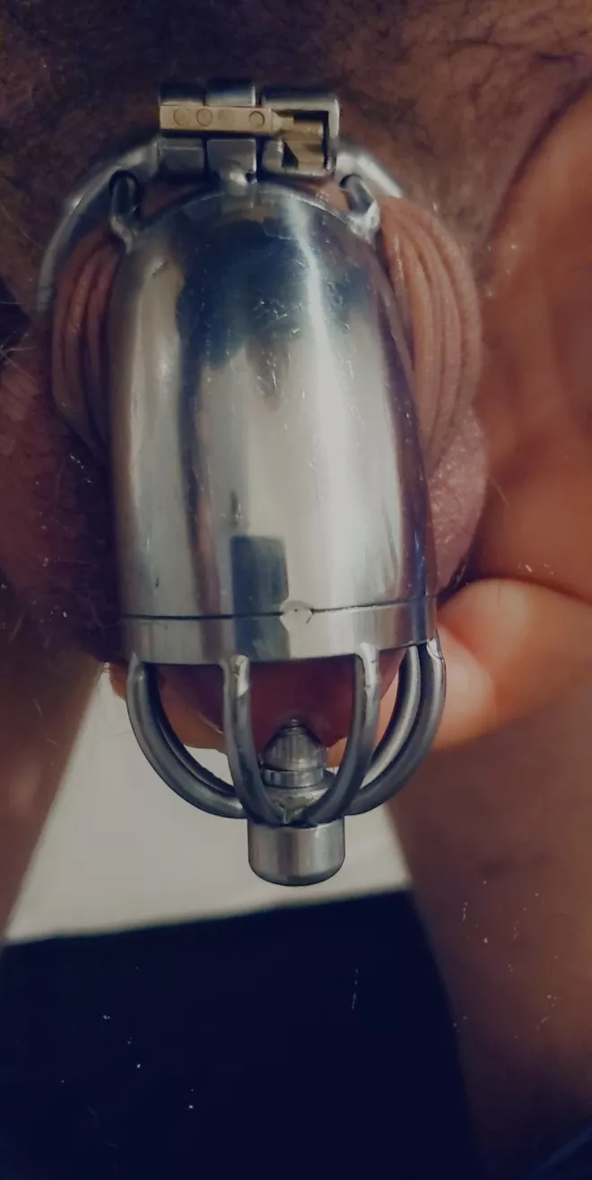 Greetings all, trying a cage with urethral sound, does anyone have experience with these on long term?