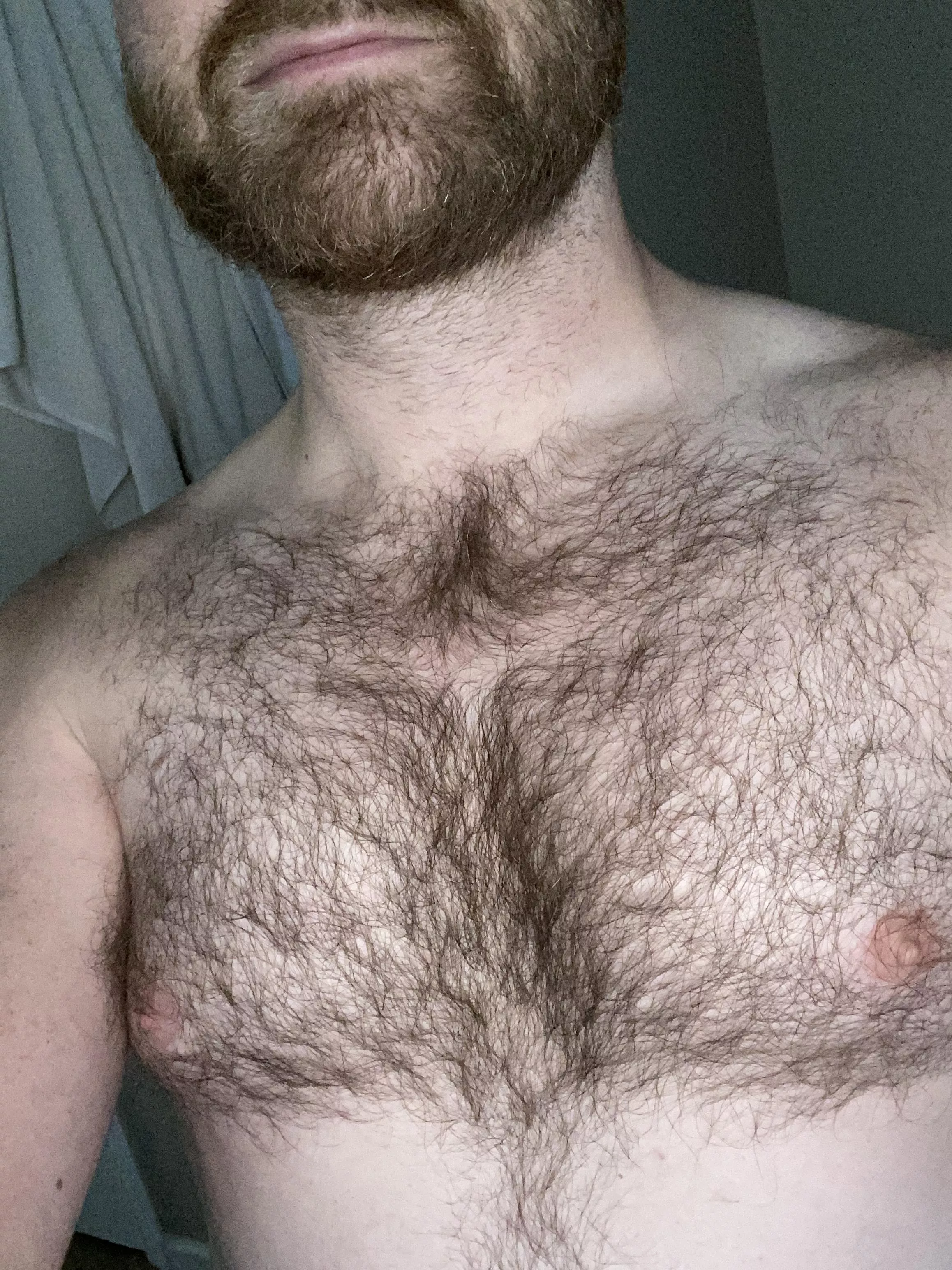 Greetings from Texas