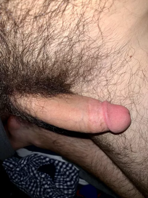 Grew my bush for 6 months