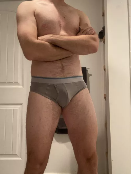 grey briefs grey briefs