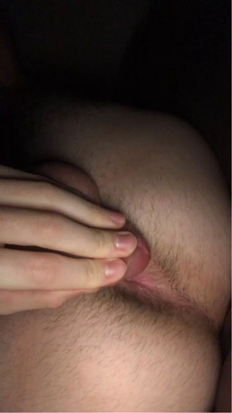 Growing out my ass hairs for you