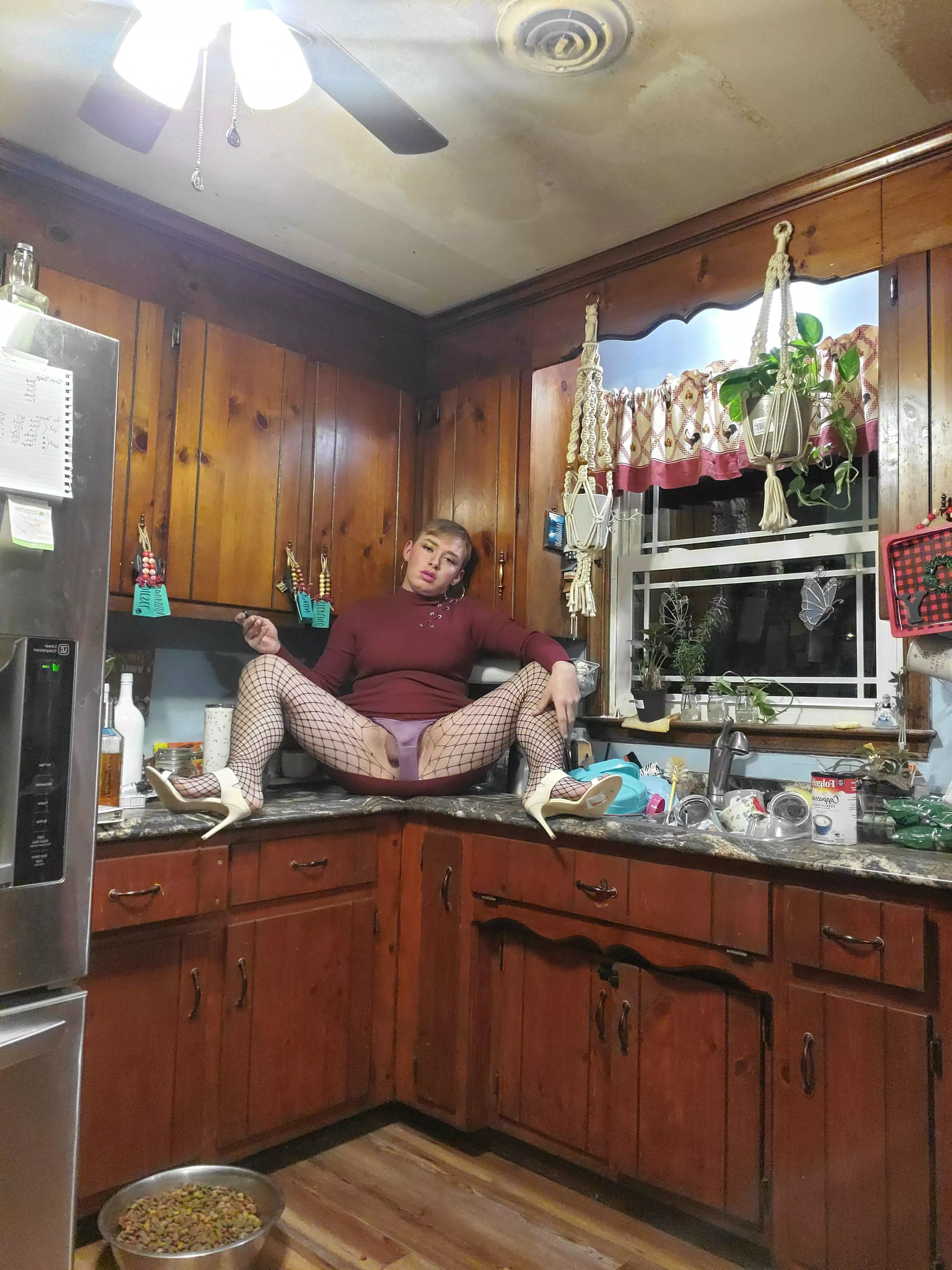 Guess whats for dinner Guess whats for dinner