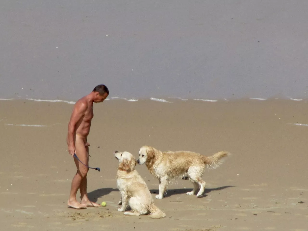 Guys, best place to walk the dogs and play fetch is at the nude beach Guys, best place to walk the dogs and play fetch is at the nude beach