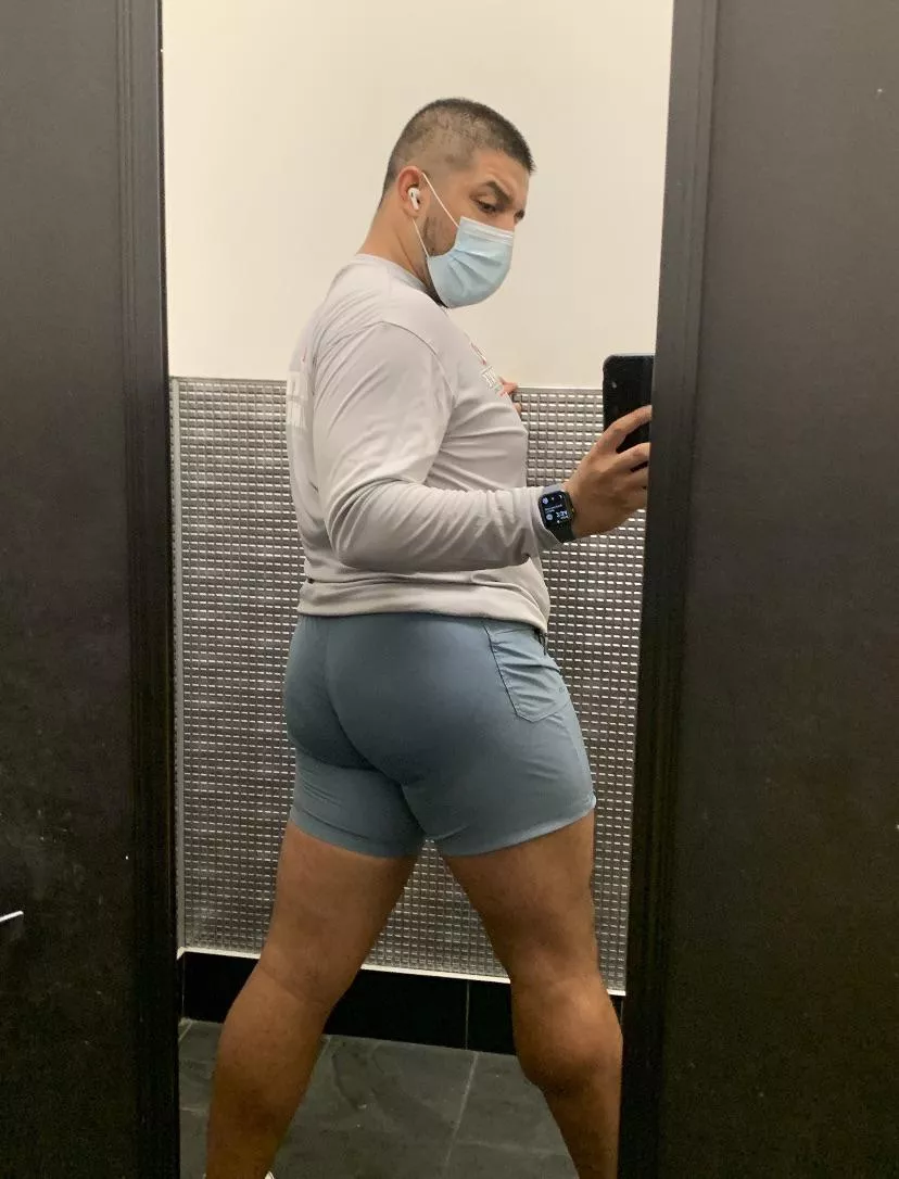 Gym Daze Gym Daze