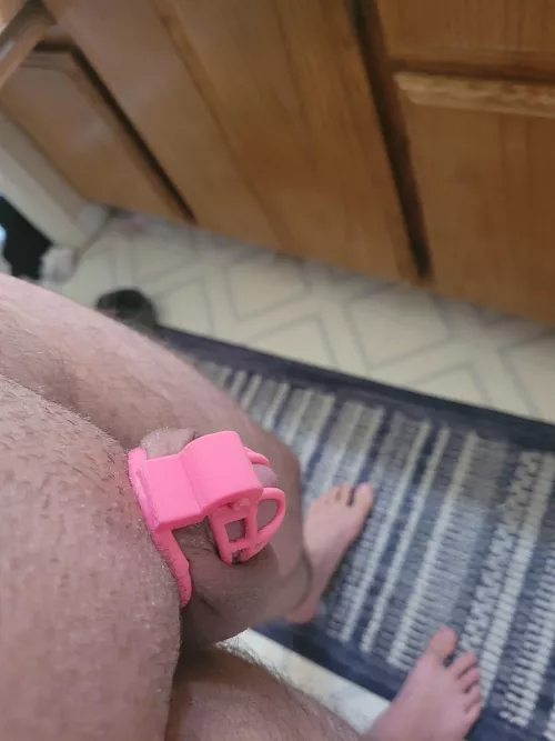 Had to print a different cage. Old one was a bit sharp after a while