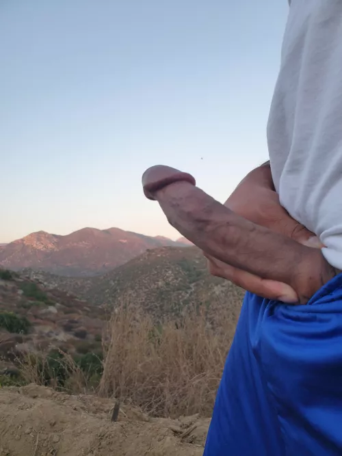 Had to release Jr on a hike.