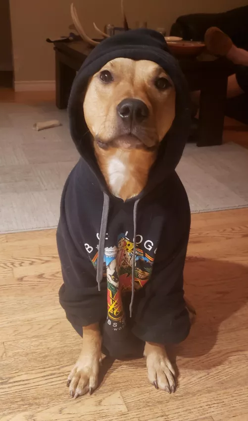 Had to roll up the sleeves for her