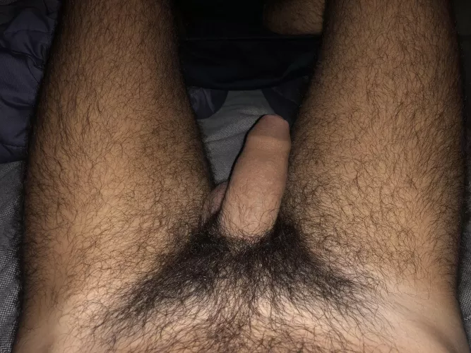 Hair and skin