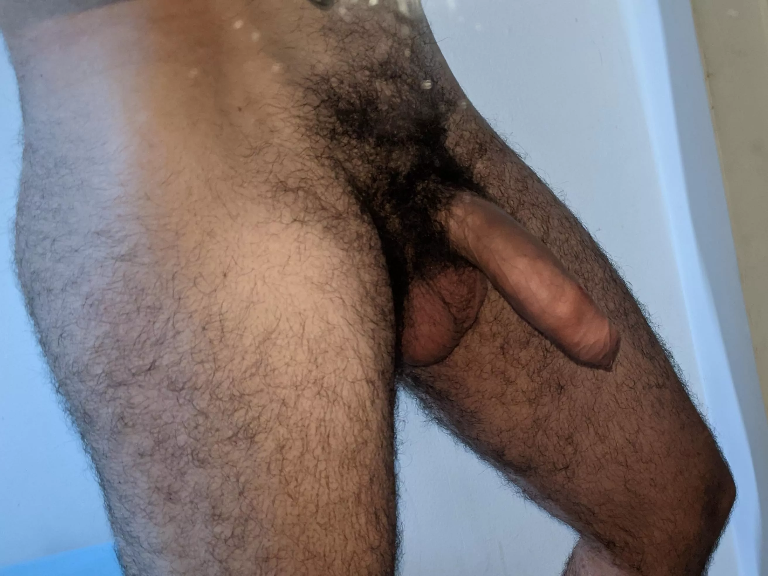 Hairy Hairy