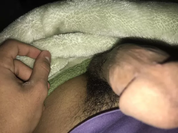 Hairy Hairy