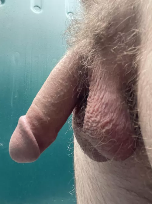 Hairy