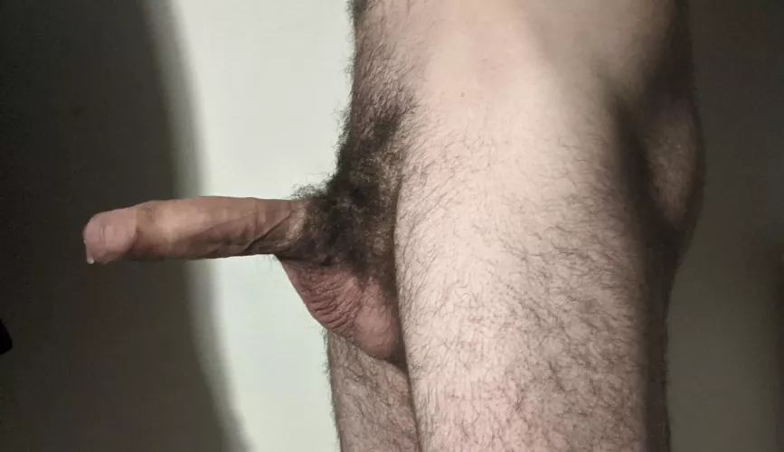 Hairy Hairy
