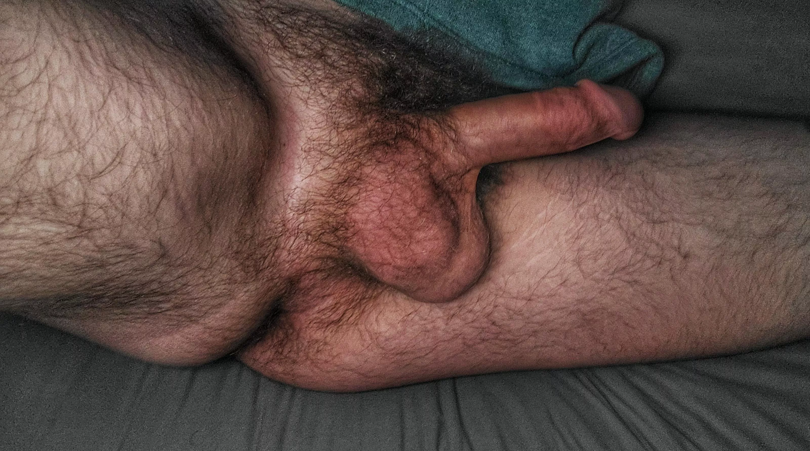 Hairy all over, soft and cozy :) Hairy all over, soft and cozy :)