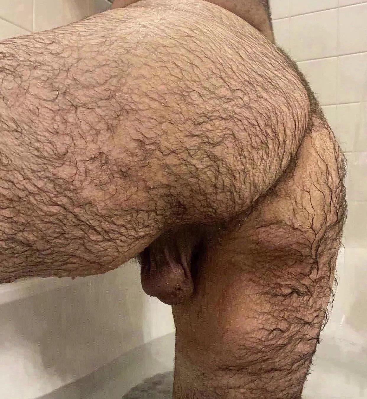 Hairy and horny Hairy and horny