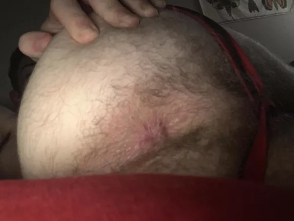 Hairy and horny. Who whatβs a taste?