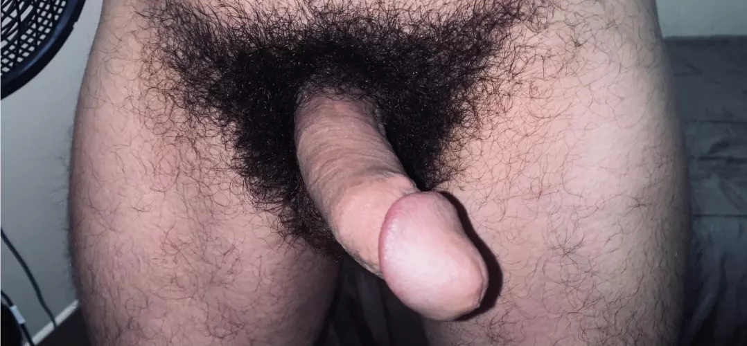 Hairy and wild π