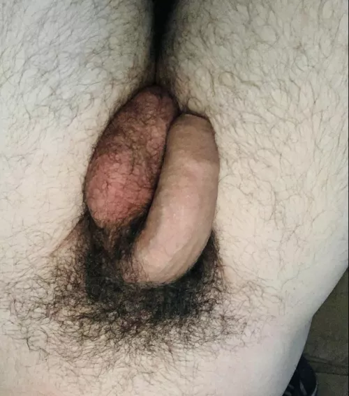 Hot Hairy Balls