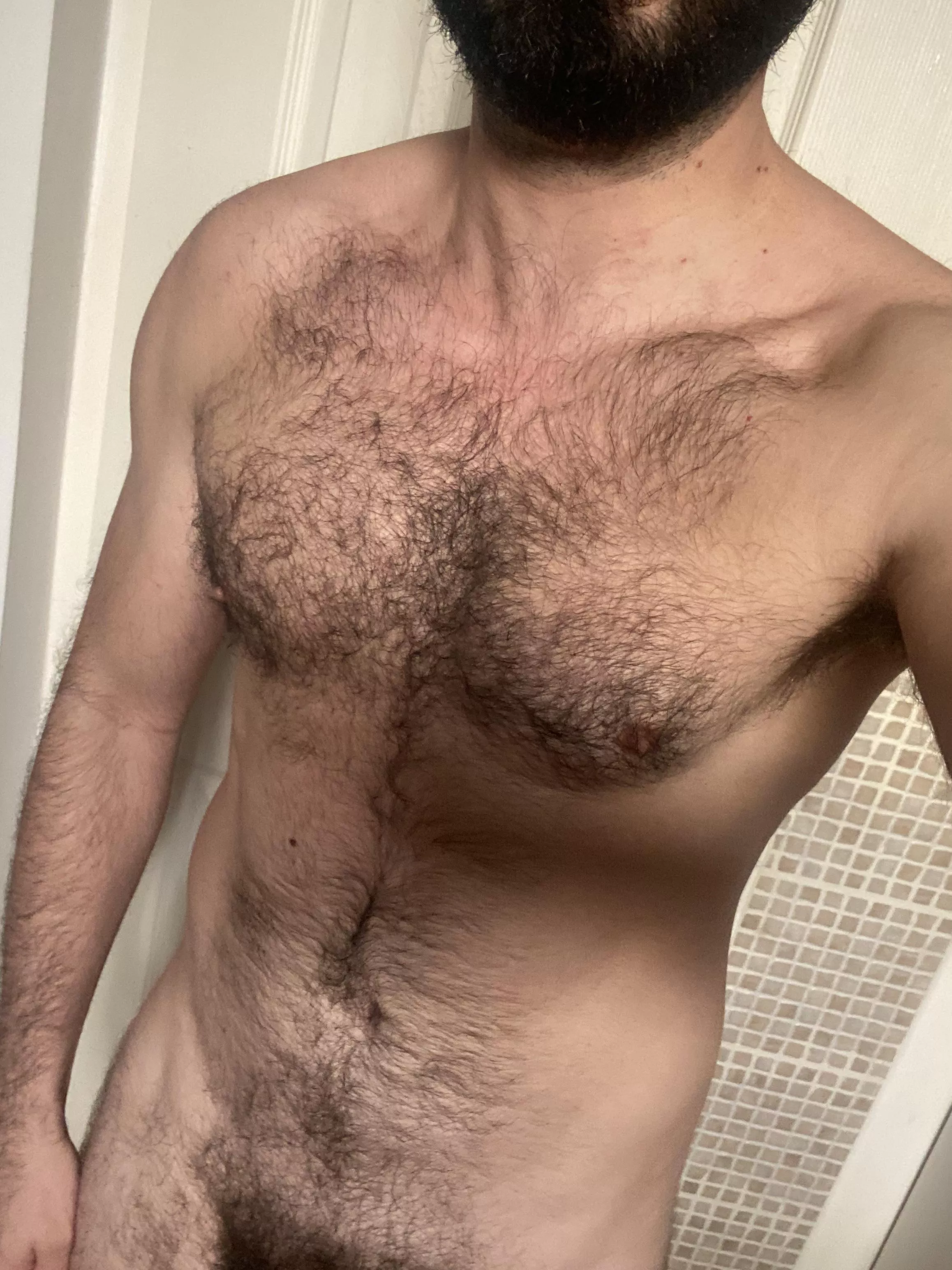 Hairy Chest Fetish